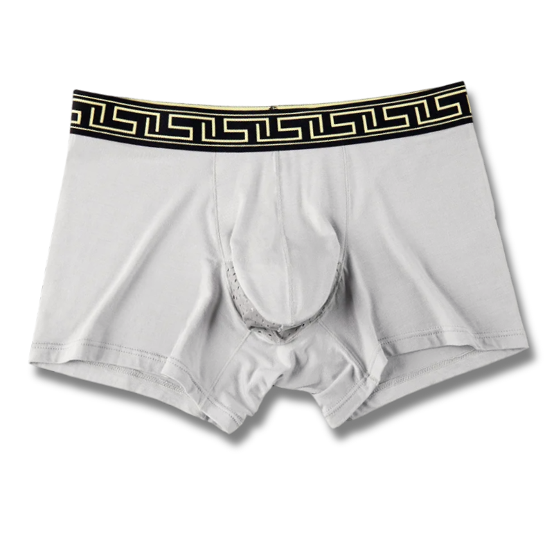 Monslipp | Boxer Absorbant Lavable pour Homme - Confort et Protection au Quotidien